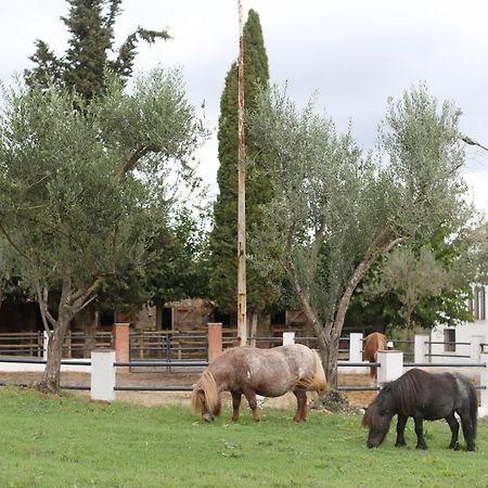 Masia Can Rovira - Esc1852 San Lorenzo de Hortóns Exterior foto