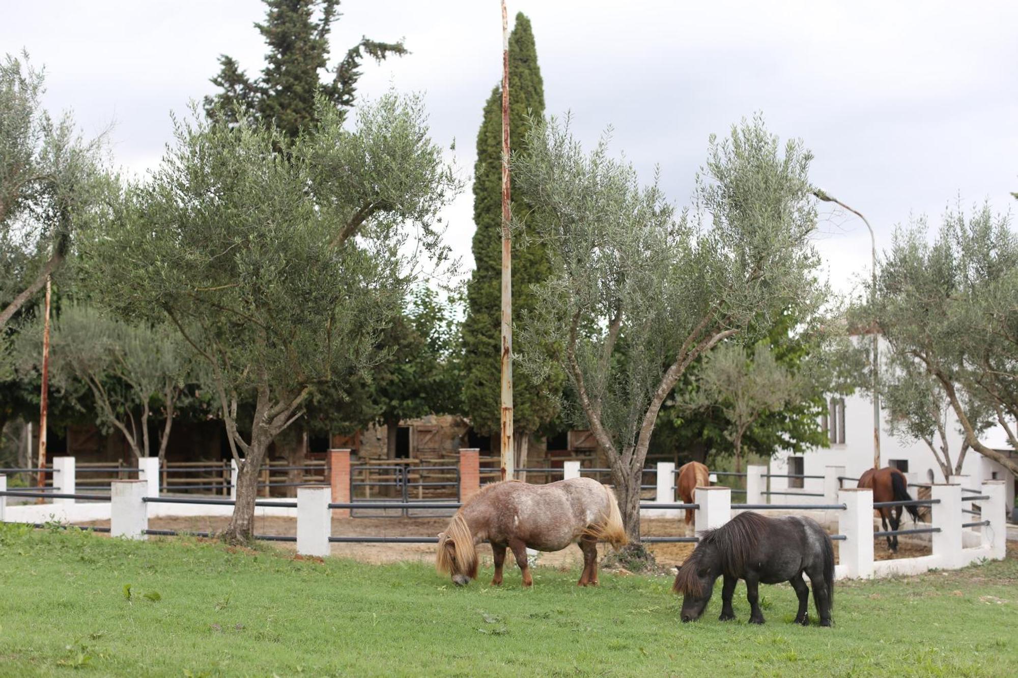 Masia Can Rovira - Esc1852 San Lorenzo de Hortóns Exterior foto